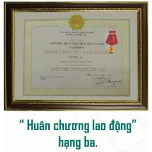 V. Danh hiệu và giải thưởng